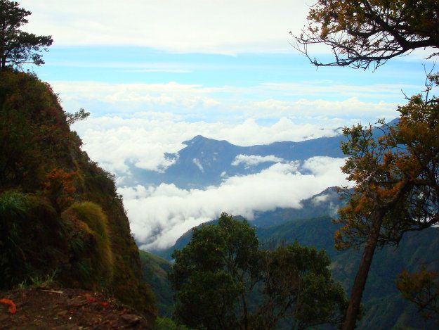 gambar tempik jawa