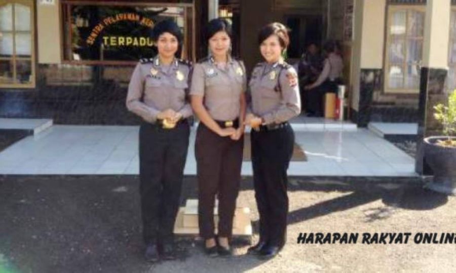 gambar ayam kartun