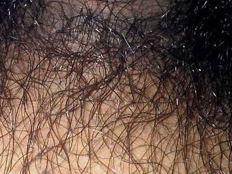 nonok jembut lebat