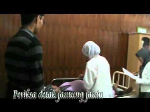 ibu hamil animation