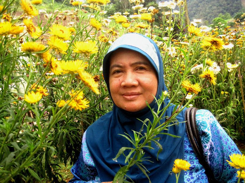 kisah istri selingkuh