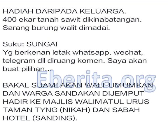 gambar kebun sawit