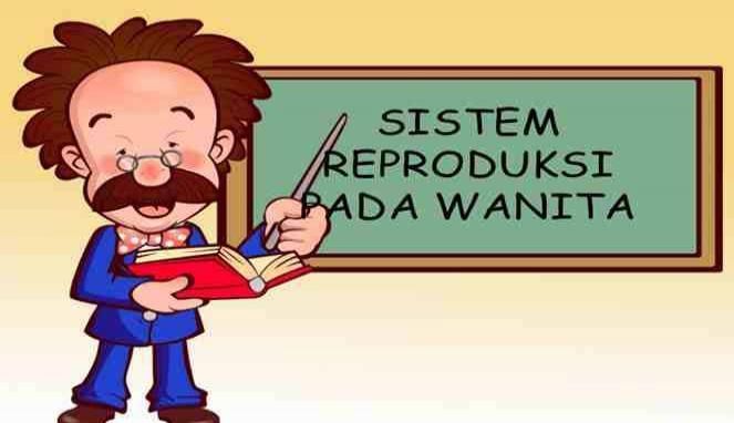 kondom wanita