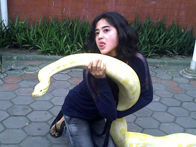 pamela safitri bugil