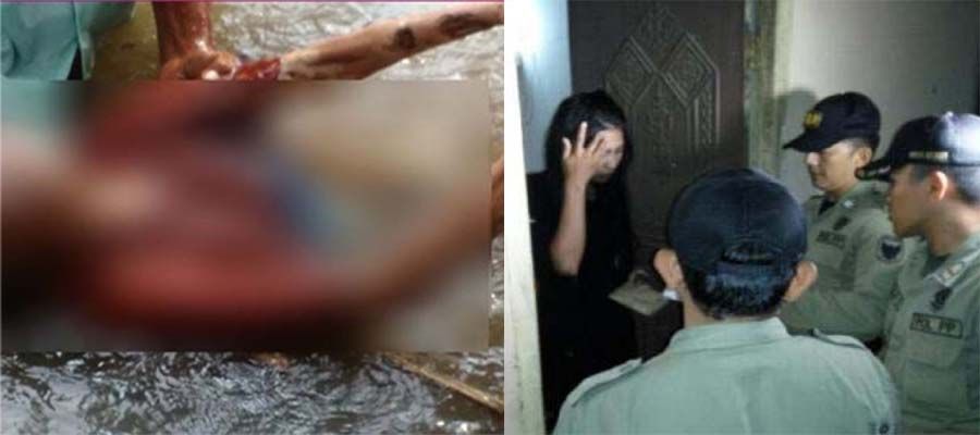 gay kontol pejuh