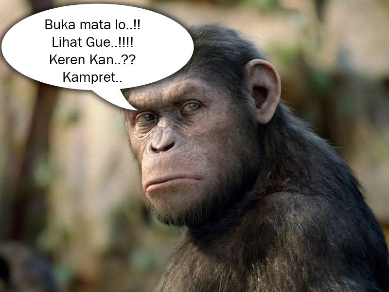 kata kata motivasi