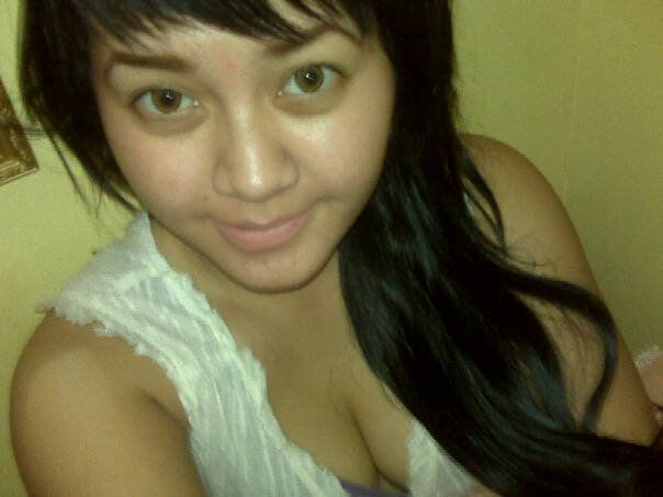 pembantu twitter