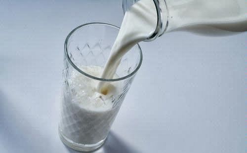 gambar susu melayu besar