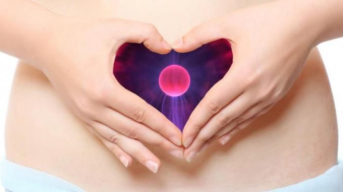 bentuk vagina perawan
