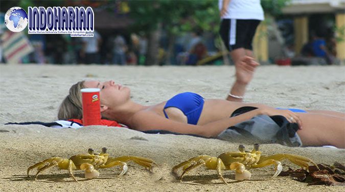 perempuan tanpa busana