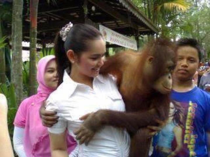 itil memek