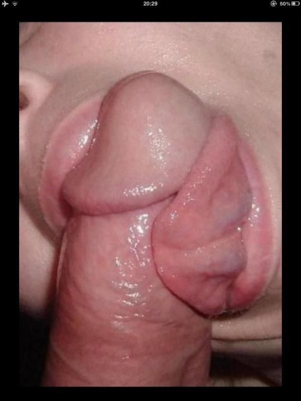 kontol tni
