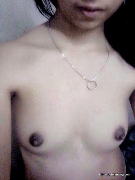 brewok tampan