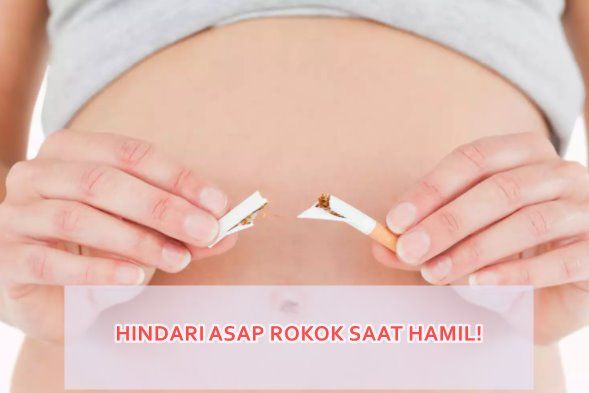 periksa hamil