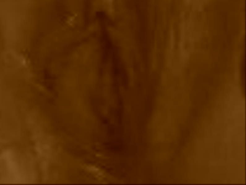 gambar memek