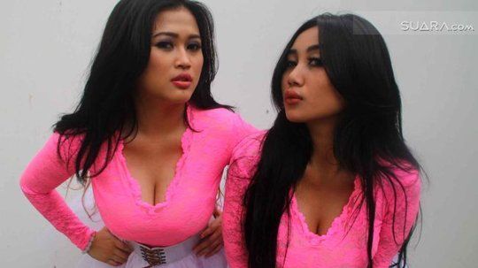 duo serigala toket