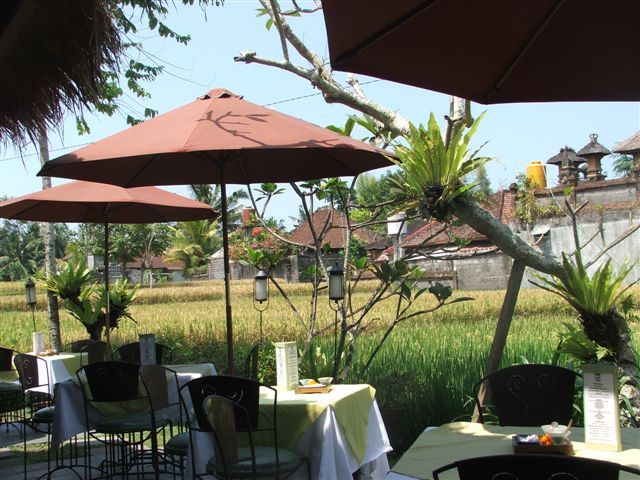 cewek tempek