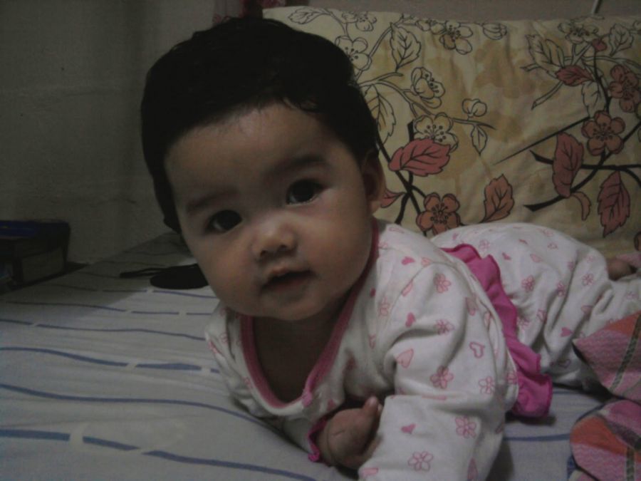 gambar bawok