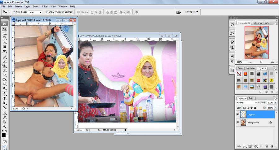 artis cantik