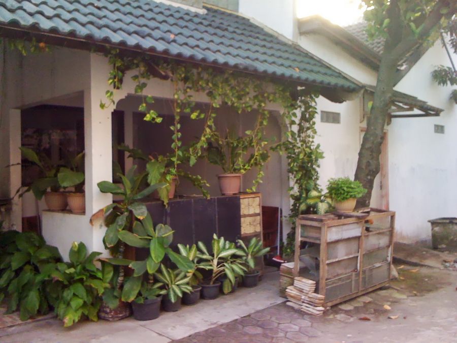 indonesia sex perkosa di