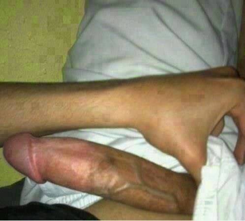 kontol vs memek
