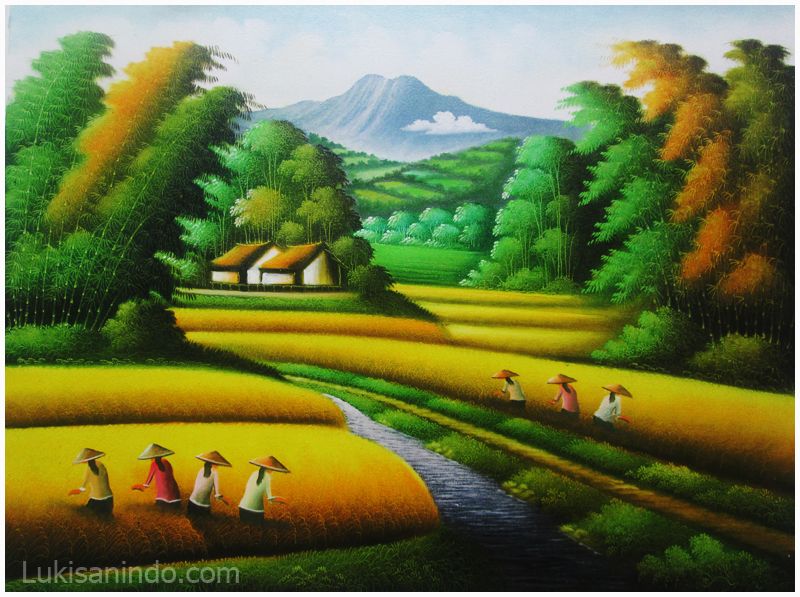 sketsa sawah