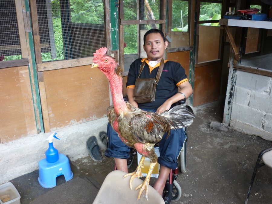 pepek tembam