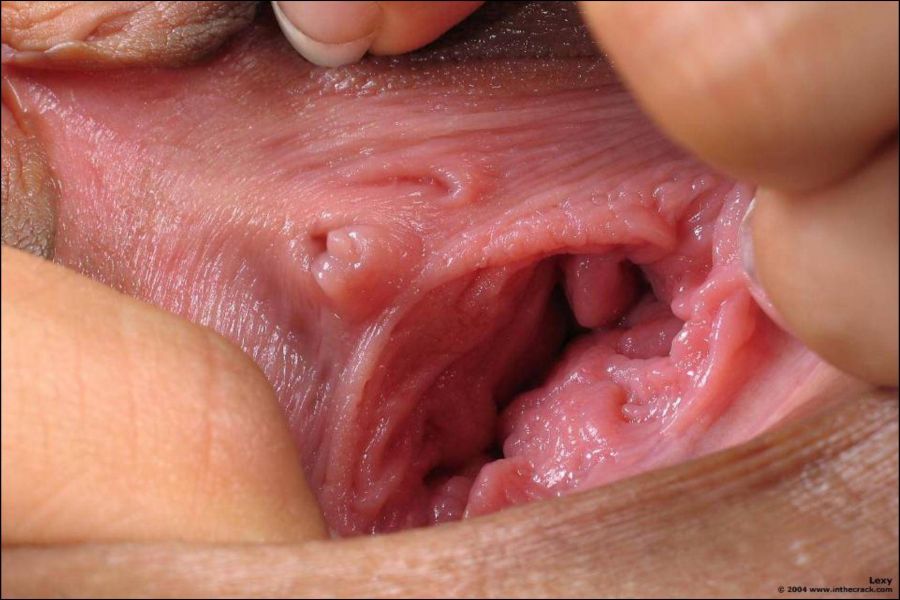 lubang memek