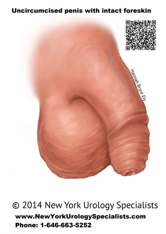 pelacur cina vagina