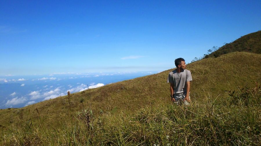 ngentot memek perawan