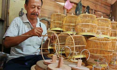 bulu pepek china