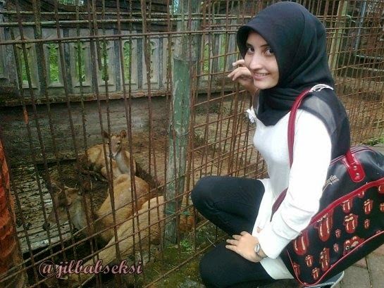 gambar tetek montok