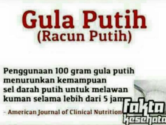 pantat wanita