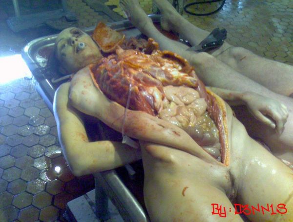 memek basah indonesia