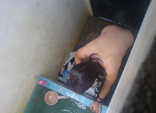 gambar ayam