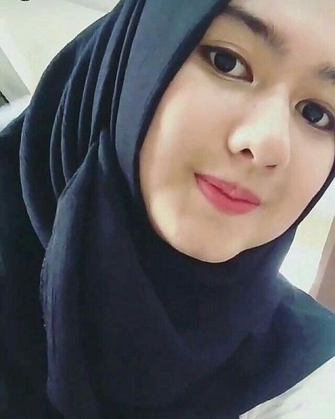 gambar plastik