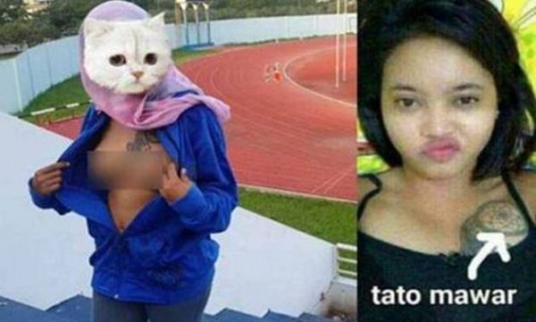 ayu ting ting gossip