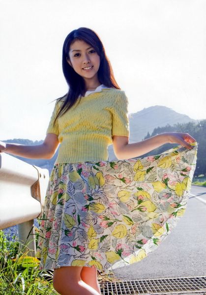 gambar tunas klapa yang cantik