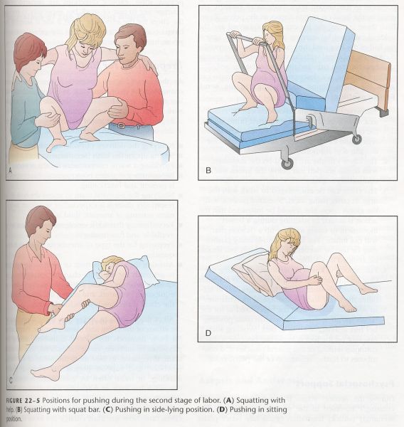 gambar ibu ibu perwiritan