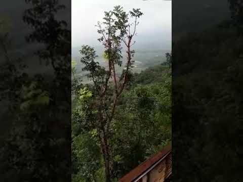 ngentot teman sekolah di semak