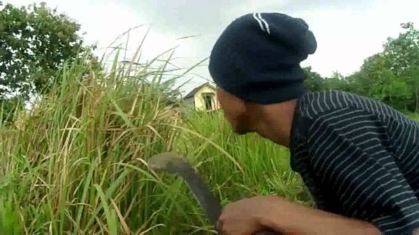 bokep abg ngtot di tepi semak