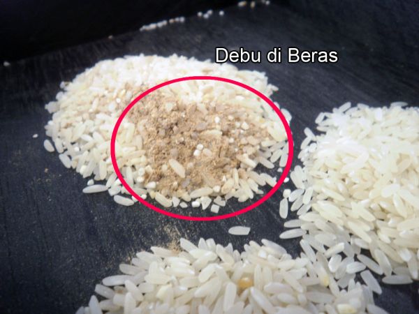 susu bulat putih memek bulu tipis