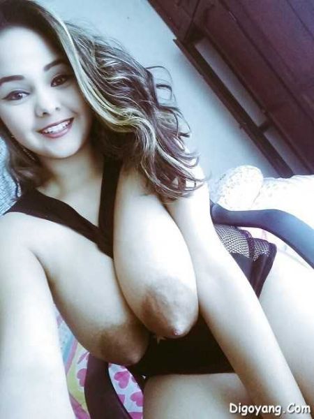 pentil indo