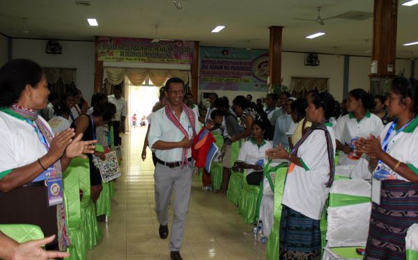 borboleta timor