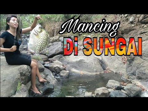 jilat memek indonesia