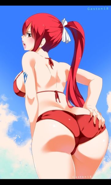 lucy heartfilia erza