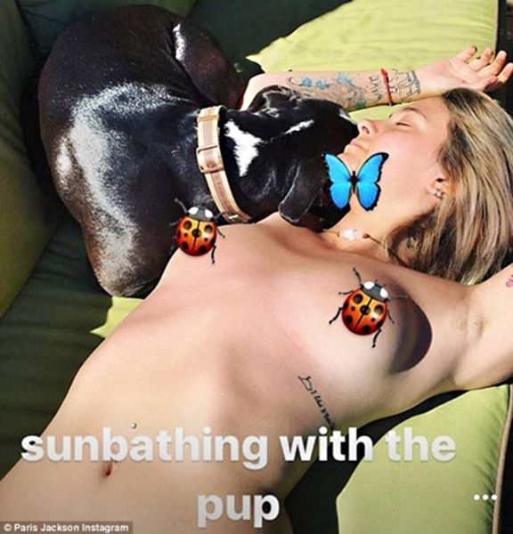 puting jilbobs