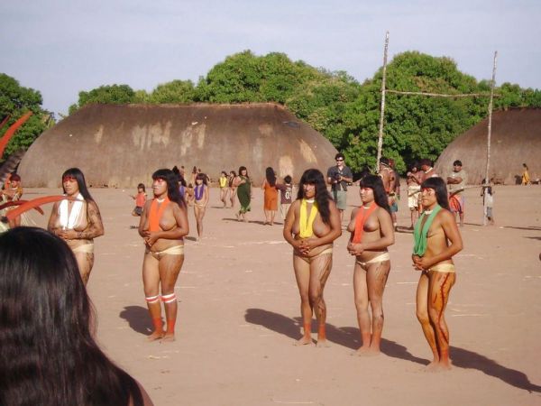 suku dayak kalimantan