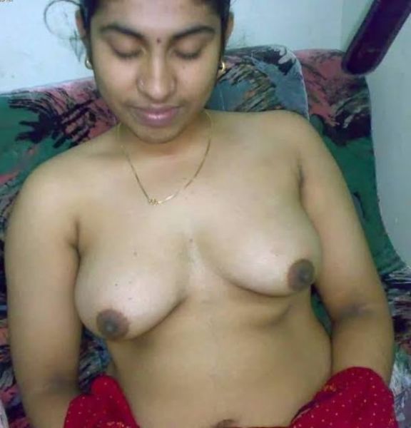 tante artis