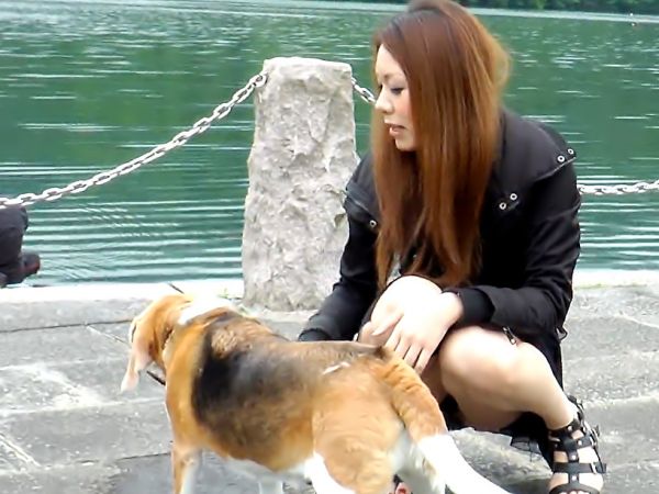 bokep susu